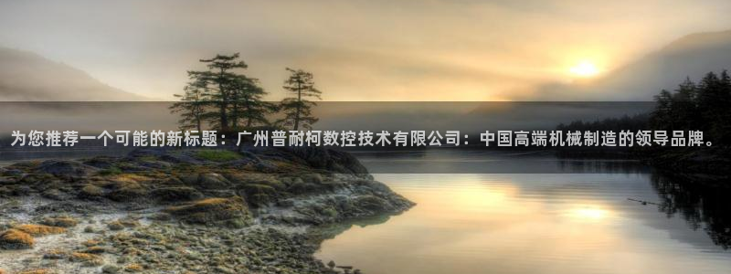 天辰娱乐酒店:为您推荐一个可能的新标题:广州普耐柯数控技术有限公司:中国高端机械制造的领导品牌。
