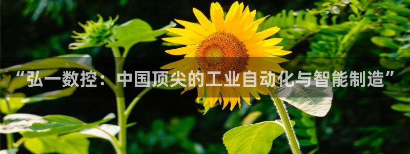 天辰娱乐平台测速:“弘一数控:中国顶尖的工业自动化与智能制造”