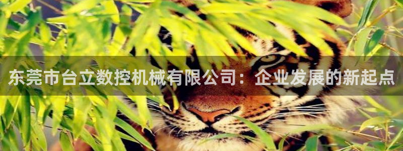 天辰注册娱乐:东莞市台立数控机械有限公司:企业发展的新起点