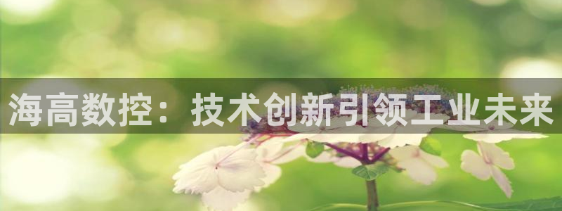 天辰娱乐天辰注册登录:海高数控:技术创新引领工业未来