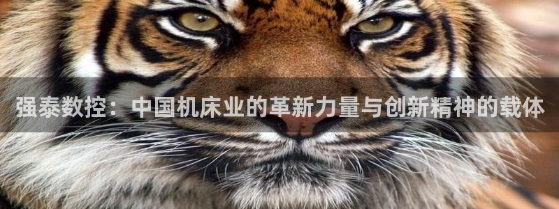 天辰娱乐 728567:强泰数控:中国机床业的革新力量与创新精神的载体