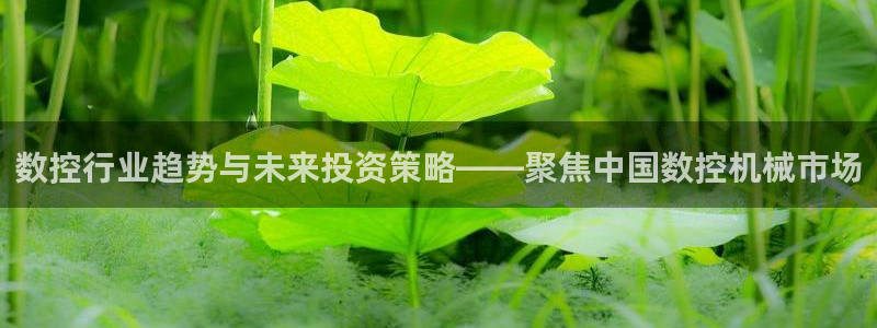 天辰娱乐视频:数控行业趋势与未来投资策略——聚焦中国数控机械市场