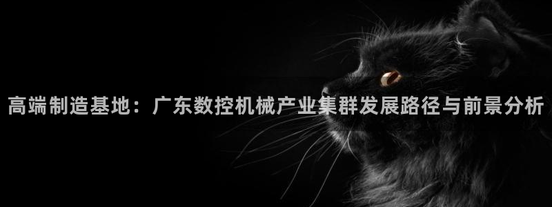 天辰娱乐说:高端制造基地:广东数控机械产业集群发展路径与前景分析