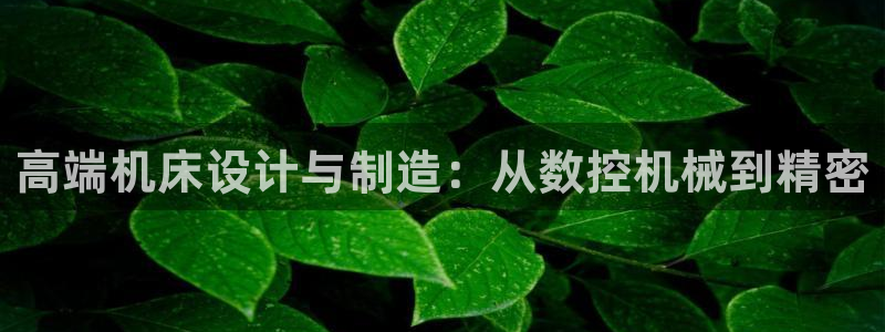 天辰娱乐官网:高端机床设计与制造:从数控机械到精密
