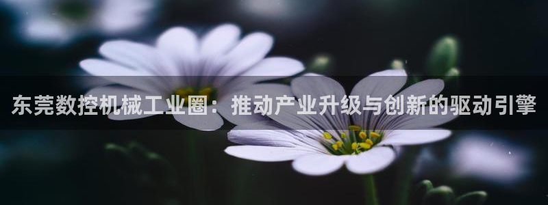 天辰娱乐赌博:东莞数控机械工业圈:推动产业升级与创新的驱动引擎