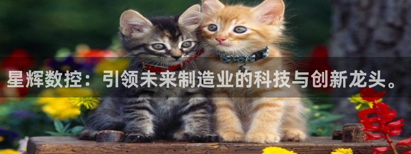 天辰娱乐官网平台入口:星辉数控:引领未来制造业的科技与创新龙头。