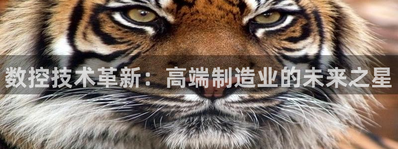桂林天辰娱乐:数控技术革新:高端制造业的未来之星