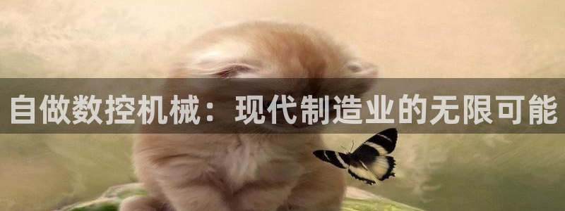 天辰 娱乐:自做数控机械:现代制造业的无限可能