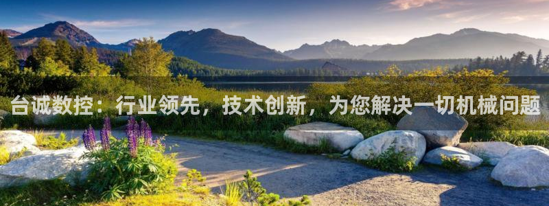 腾讯天辰娱乐:台诚数控:行业领先,技术创新,为您解决一切机械问题