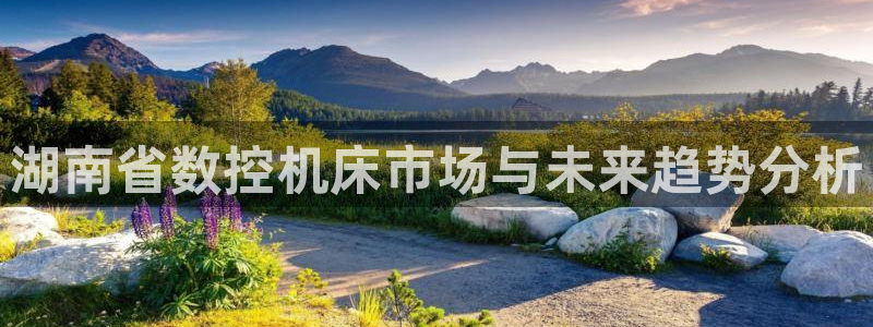天辰娱乐国际:湖南省数控机床市场与未来趋势分析