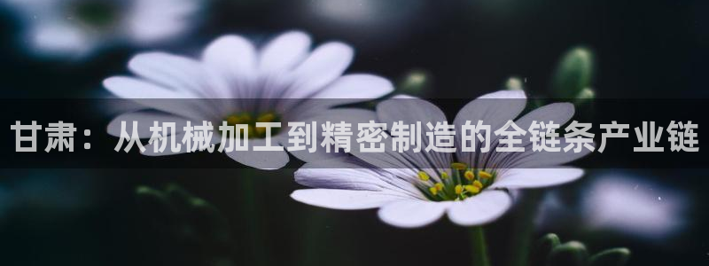 天辰娱乐指定:甘肃:从机械加工到精密制造的全链条产业链
