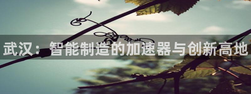 下载天辰娱乐:武汉:智能制造的加速器与创新高地