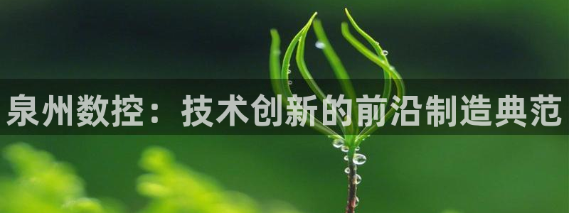 天辰娱乐总管年薪:泉州数控:技术创新的前沿制造典范