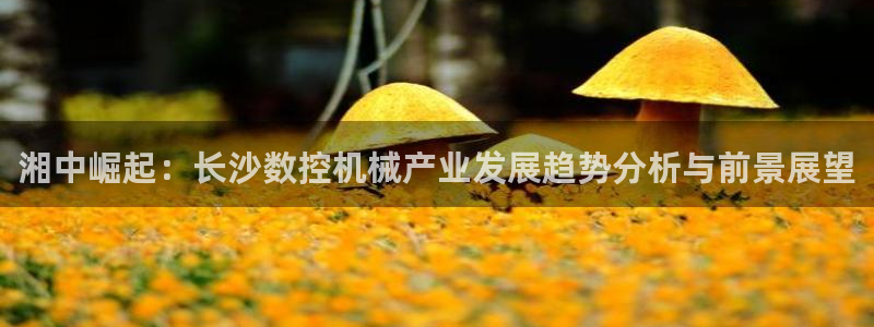 辰天娱乐:湘中崛起:长沙数控机械产业发展趋势分析与前景展望