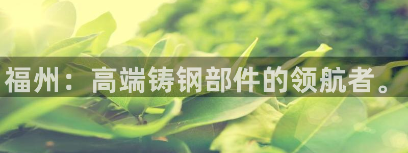 天辰娱乐娱乐注册:福州:高端铸钢部件的领航者。